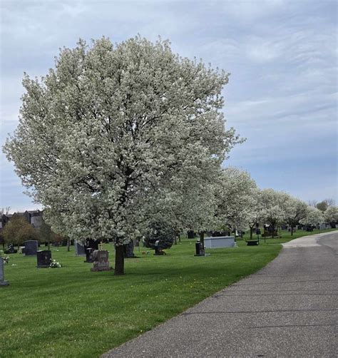 A post from Tino in Oakland Township.