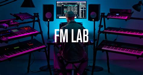 FM Data Lab 的图像结果