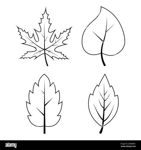 Leaves outline autumn symbols collection. Contour of autumnal falling ...