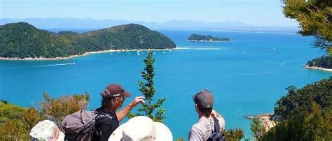 WILSONS ABEL TASMAN (2026) All You Need to Know BEFORE You Go (with ...