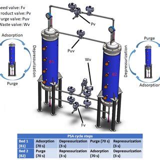 Image result for PSA Evolution