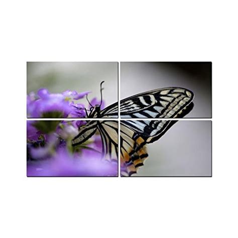 Little Jaipur Butterfly 4 Panel Wall Art Painting with UV Coating 36x24 ...