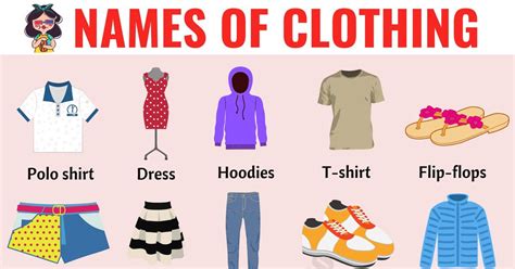 Types of Clothes 的图像结果