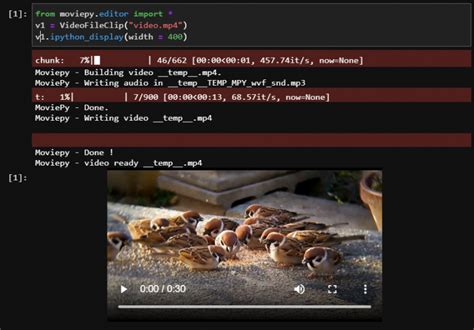Image result for Moviepy Python Path of File