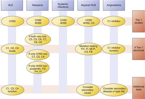 Image result for Low Complement