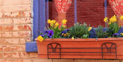 Window Boxes 的图像结果