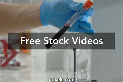 Image result for Sample Test Download Video File