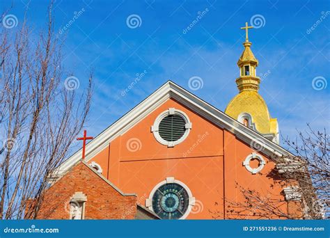 Sunny View of the Cathedral of the Immaculate Conception Stock Photo ...
