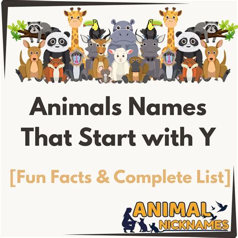 Animals Names That Start with F [Fun Facts & Complete List] – Animal ...