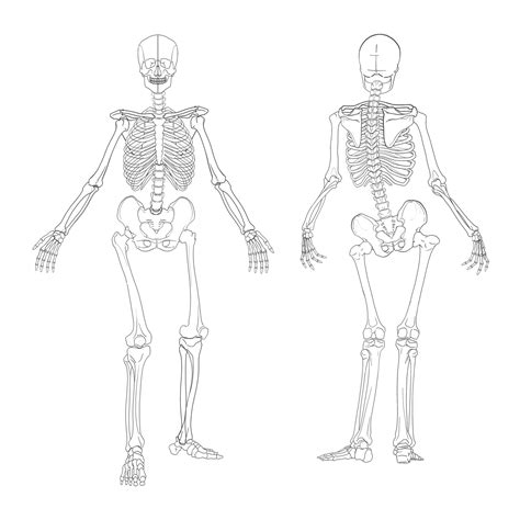Image result for Matplotlib Elements