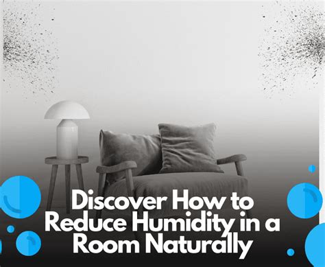 Remove Humidity From Room 的图像结果