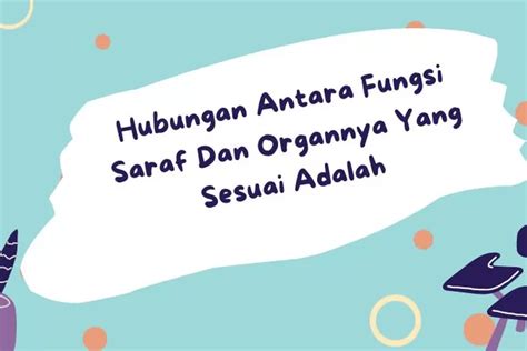 hubungan antara fungsi saraf dan organnya yang sesuai adalah