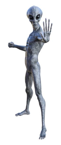 Alien Front View 的图像结果