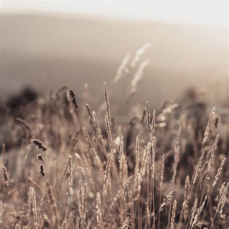 All Jaeger-LeCoultre Luxury Watch Collections | Jaeger-LeCoultre