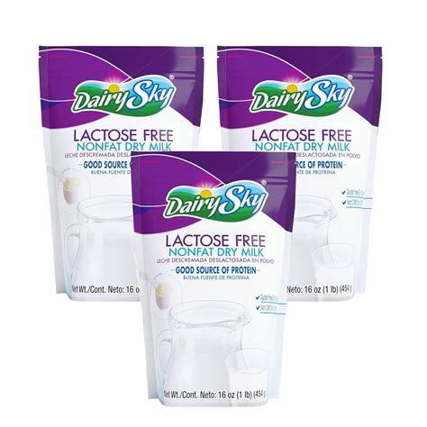 Amazon.com : DairySky Lactose Free Milk Powder 16 Oz - Non GMO Fat Free ...