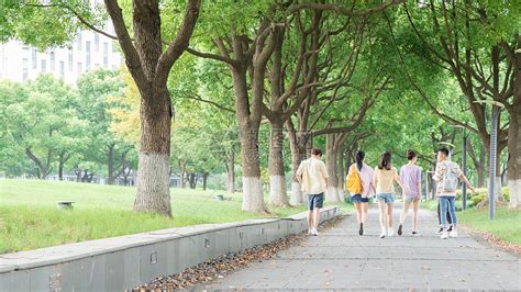 校园掠影 - 北京科技大学天津学院