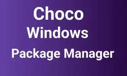 Choco Install Postman 的图像结果