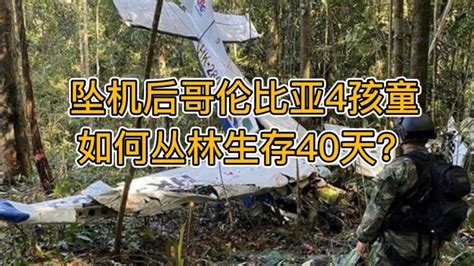 空难40天后，4名儿童被发现幸存，他们是如何生存下来的呢-千里眼视频-搜狐视频