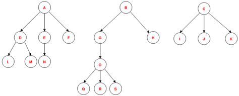 Novel Static Multi-Layer Forest Approach and Its Applications