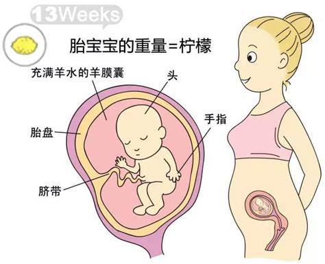 孕13周已生男宝nt单竟是这个样子的，这3个暗示居然这么明显_宝宝之家