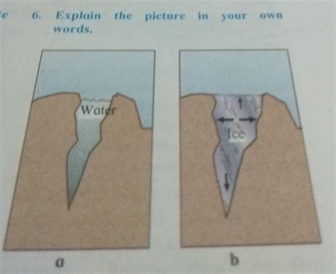 explain the picture in your own words - Brainly.in