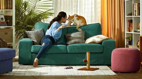 Cat Proof Sofa Fabric | Baci Living Room