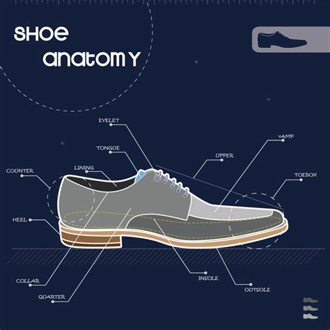 Shoe Structure Definition at Luca Glossop blog