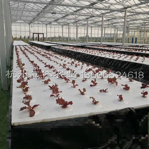 舟山玻璃大棚农用玻璃大棚及智能无土栽培建设项目-杭州立体农业开发有限公司