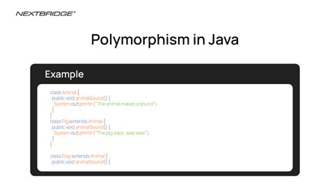 Polymorphism Definition in Java 的图像结果