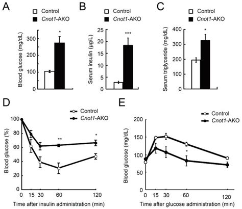 The CCR4–NOT Deadenylase Complex Maintains Adipocyte Identity