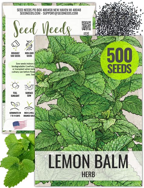 Lemon Balm Seedlings Lemon Balm Plant (Herbal Medicine)