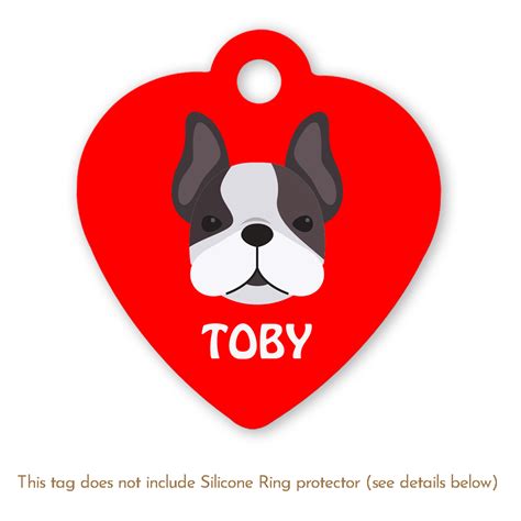 French Bulldog – Taggie Pet Store