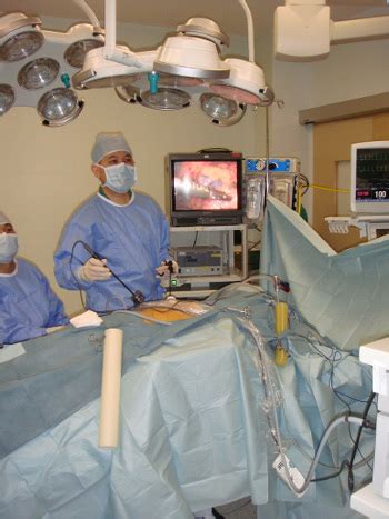 Image result for Hal Nephrectomy