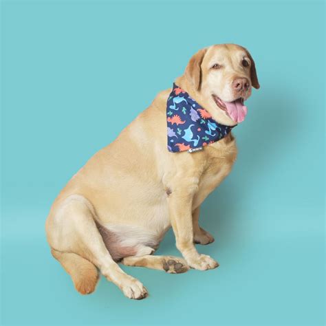 Dinosaurs Dog Bandana – Pet Set Go