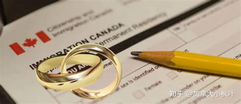 民政部：婚姻登记处不得设婚庆服务机构_手机新浪网