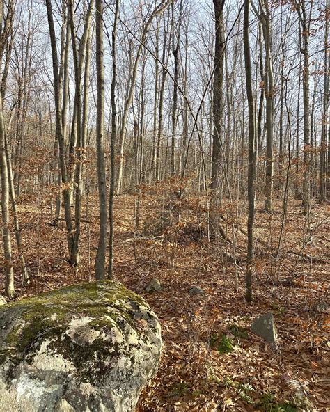 20 Forest Ridge Drive #14, Middlebury, VT | MLS# 5072447 | Carey ...