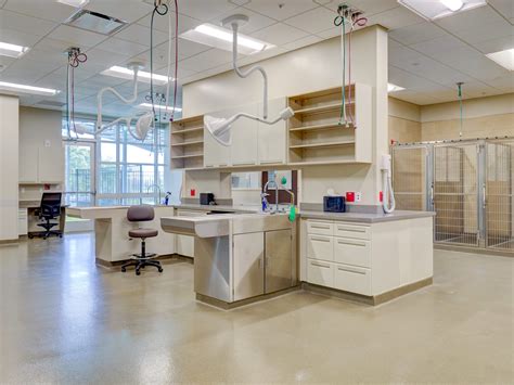 Blue Pearl Pet Hospital- Clearwater | Specialty & Emergency Veterinary ...