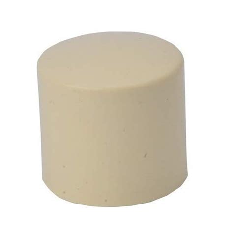 Idol CPVC End Cap,Pack of 2 : Amazon.in: Home Improvement