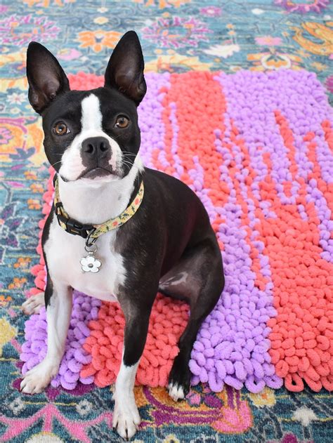 Image result for Loop Yarn Instructions