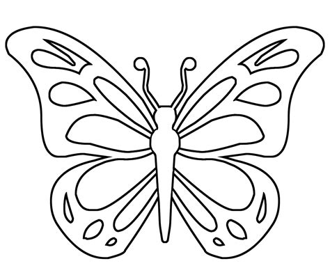 butterfly drawing no color