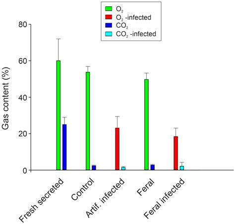 Swimbladder Function in the European Eel Anguilla anguilla