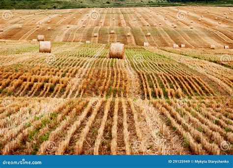 Bundle Of Hay