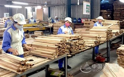 零关税，越南木材行业获利巨大-中国木业网