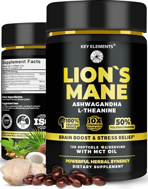 Amazon.com: KEY ELEMENTS Organic Lions Mane Supplement Capsules with ...