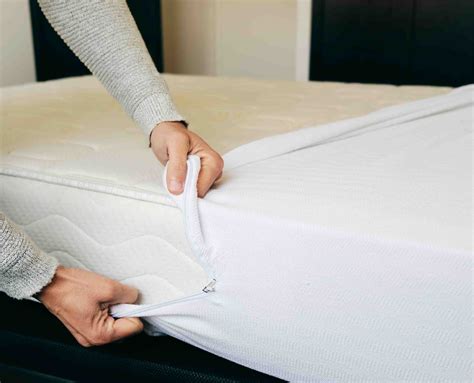 Bed Bug Mattress Protector Twin Size Bed Mattress Cover Zipper Plastic