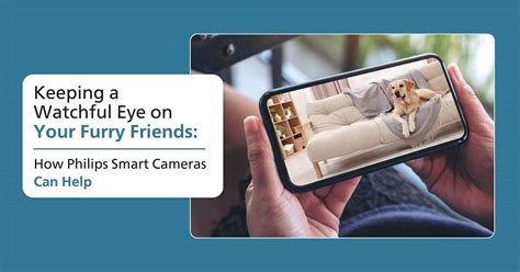 Keep an Eye on Pets with Philips Smart Cameras