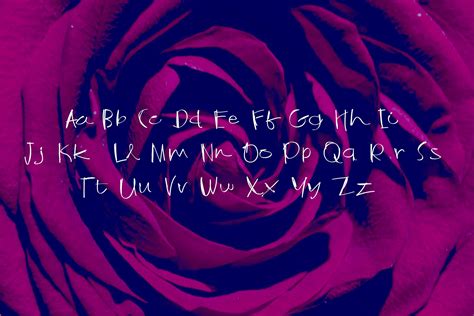 Rose — Teletype
