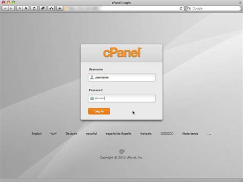 Image result for cPanel Example