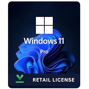 Windows 11 Professional Retail License Key (1 User/PC, Lifetime ...