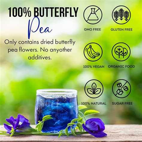 Fusion Select Blue Butterfly Pea Flower Tea Bags - India | Ubuy